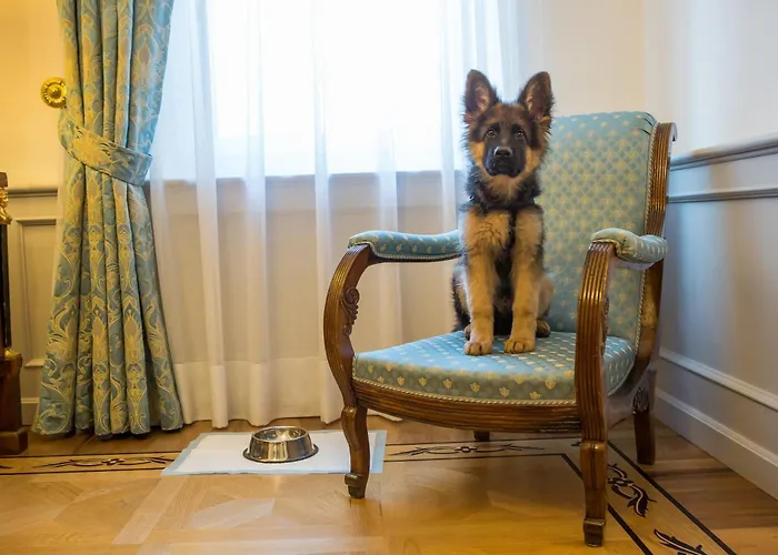 Due Torri Верона